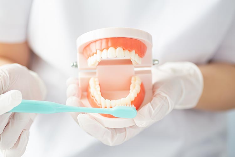 予防歯科画像